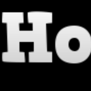 "HO" t-shirt (Test Item)